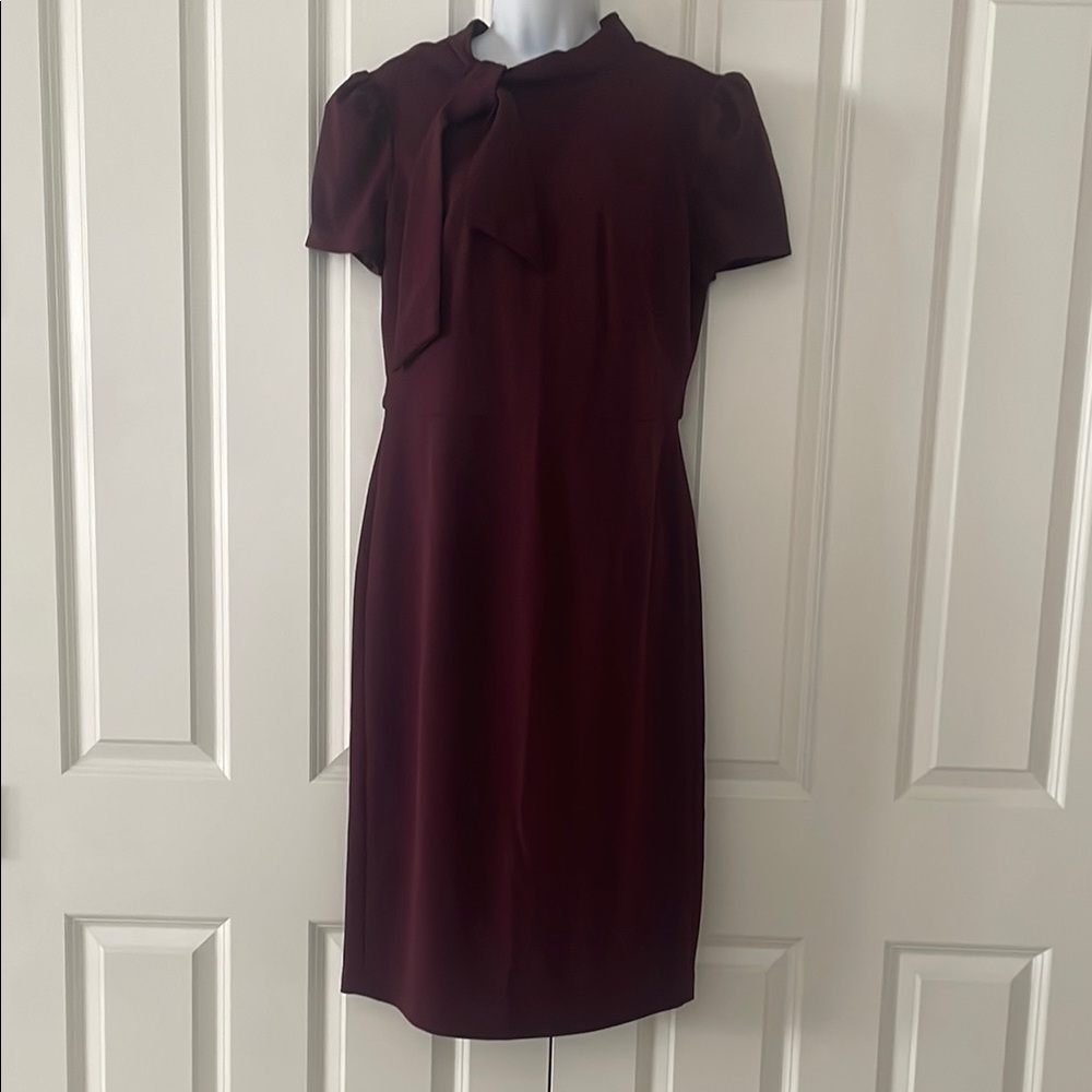 Elegant Maggy London Burgundy Dress